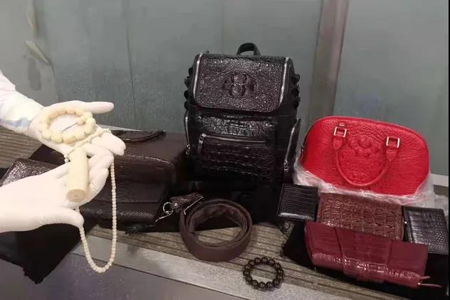 202108270334557603 BWIN货代