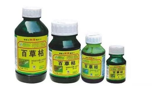 202111100542158491 危险品出口