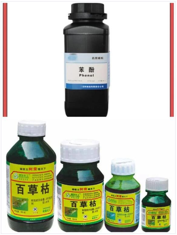 20220825035836734 国际货运代理